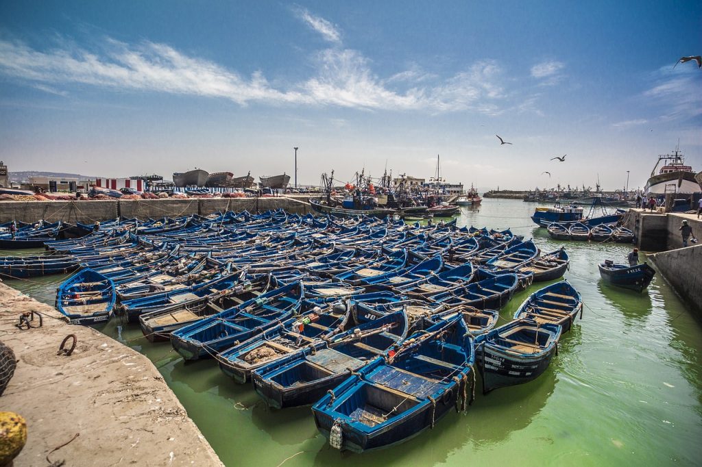 morocco, nature, morroco