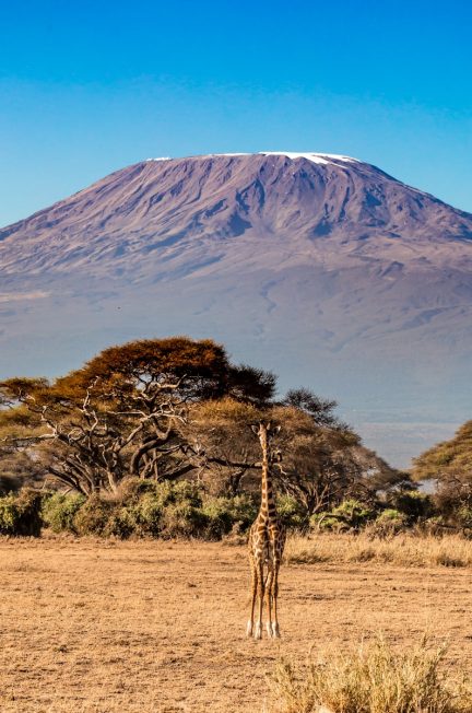 l'ascension du kilimandjaro