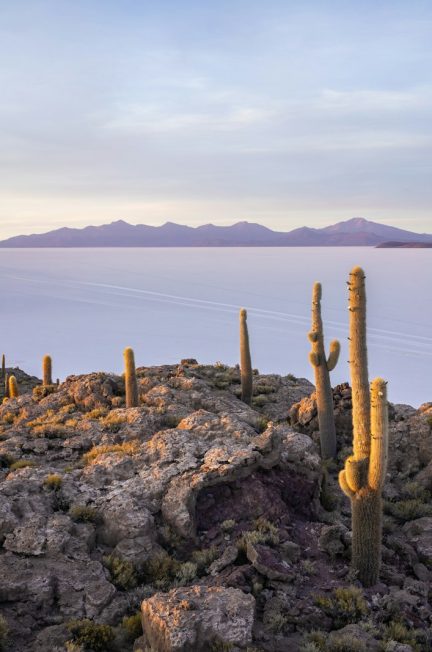 les salines Uyuni en Bolivie