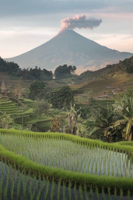 Découverte de Java : volcans, rizières et temples d'Indonésie