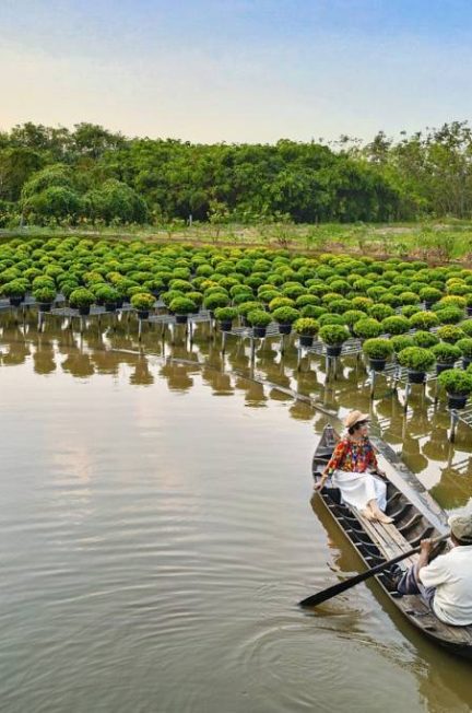 À la découverte du Vietnam : les incontournables à voir absolument